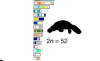 thumbnail image from paper