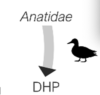 thumbnail image from paper