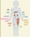 thumbnail image from paper