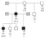 thumbnail image from paper