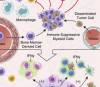 thumbnail image from paper