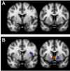 thumbnail image from paper