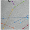 thumbnail image from paper
