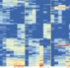 thumbnail image from paper