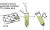 thumbnail image from paper