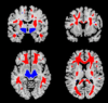 thumbnail image from paper