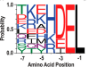 thumbnail image from paper