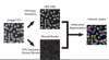 thumbnail image from paper
