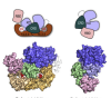 thumbnail image from paper