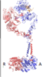 thumbnail image from paper