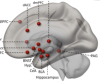 thumbnail image from paper