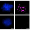 thumbnail image from paper