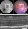 thumbnail image from paper