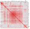 thumbnail image from paper