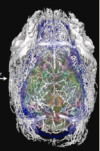 thumbnail image from paper