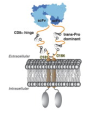 thumbnail image from paper