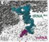 thumbnail image from paper