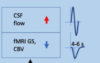 thumbnail image from paper