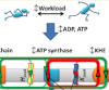 thumbnail image from paper