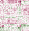 thumbnail image from paper