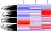 thumbnail image from paper