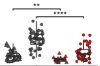 thumbnail image from paper