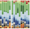 thumbnail image from paper