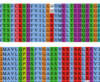 thumbnail image from paper