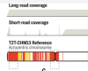 thumbnail image from paper