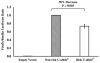 thumbnail image from paper