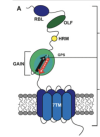 thumbnail image from paper