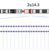 thumbnail image from paper