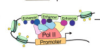 thumbnail image from paper