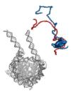 thumbnail image from paper