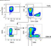 thumbnail image from paper