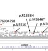 thumbnail image from paper