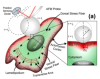 thumbnail image from paper