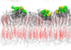 thumbnail image from paper