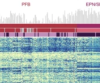 thumbnail image from paper