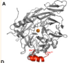 thumbnail image from paper