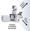 thumbnail image from paper