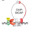thumbnail image from paper