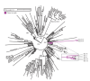 thumbnail image from paper