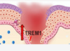 thumbnail image from paper
