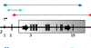 thumbnail image from paper