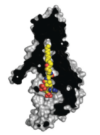 thumbnail image from paper