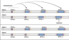 thumbnail image from paper