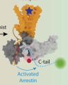 thumbnail image from paper