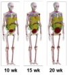 thumbnail image from paper