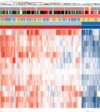 thumbnail image from paper
